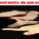 @showgirl