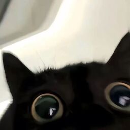 @strcain