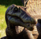 @dinosaur
