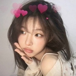 @beethvn