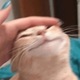 @notloveletter