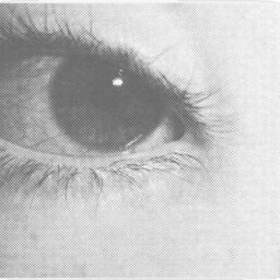 @schonheit