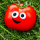 @mischieftomato