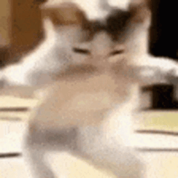@Anonshimmy