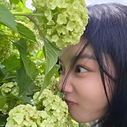 @auroral